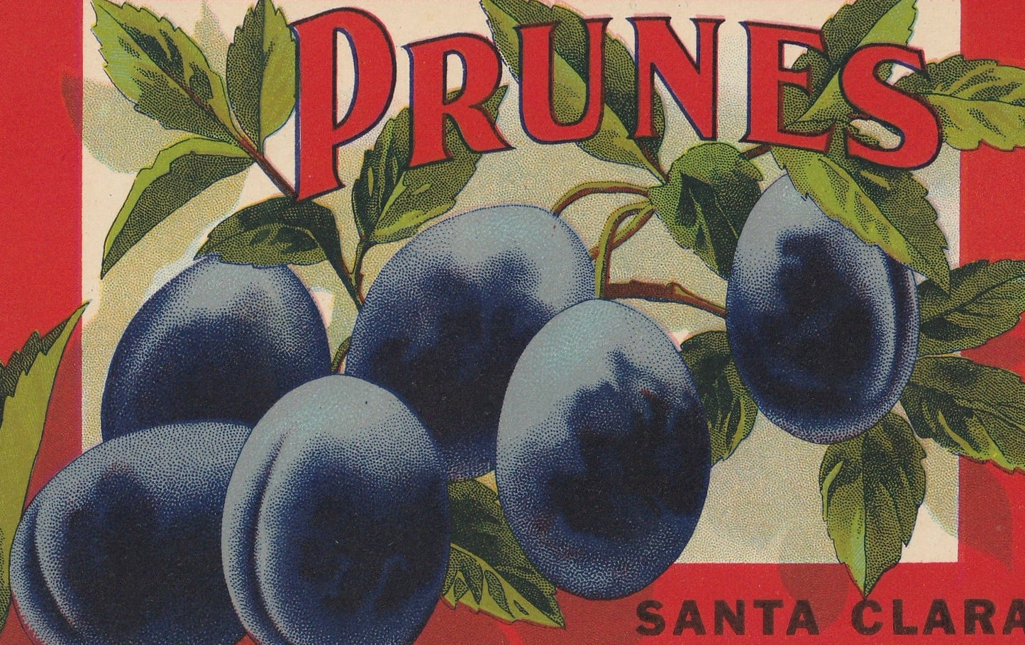 Morjon B. Prunes Santa Clara Dry Packed Prunes Crate Label